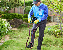 芝生のエアレーション