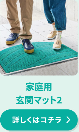家庭用玄関マット2