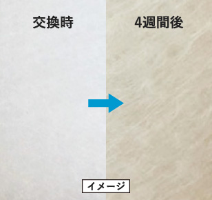 交換時＞4週間後