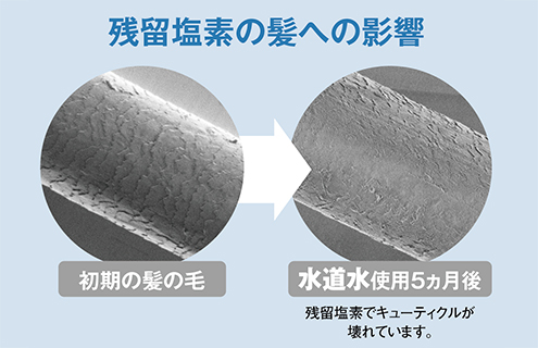 残留塩素の髪への影響