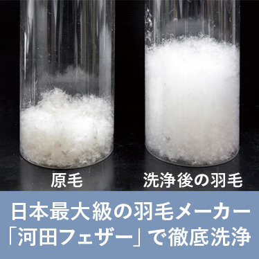 日本最大級の羽毛メーカー「河田フェザー」で徹底洗浄