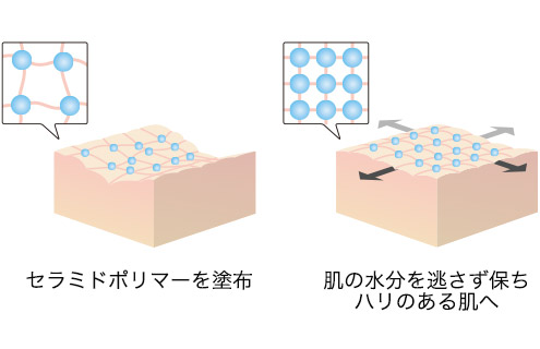 セラミドポリマーにより肌のたるみを目立たせなくする