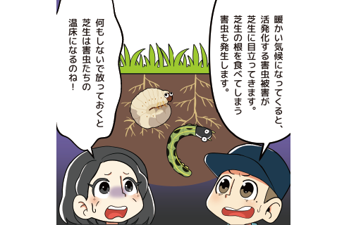 ③新芽の保護