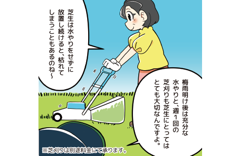 ④夏の施肥
