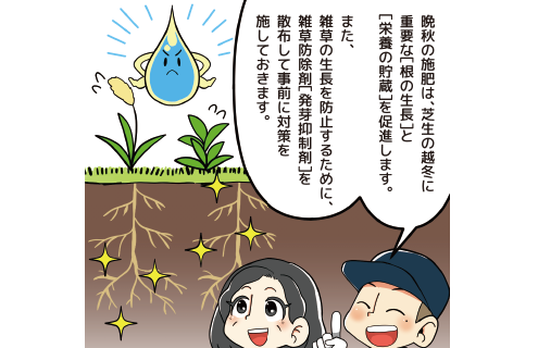 ⑥冬の準備
