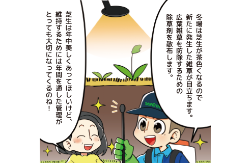 ⑦冬の雑草防除