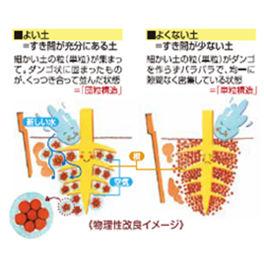 土壌改良イメージ