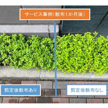 枝伸び抑制サービス