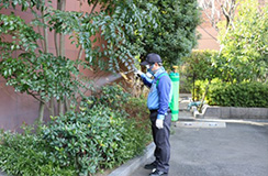 ≪オプション≫炭酸ガス製剤噴霧