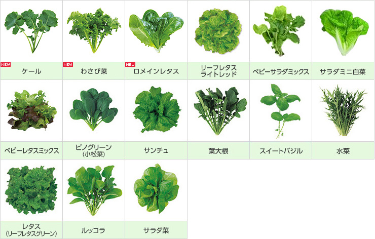 育てられる野菜