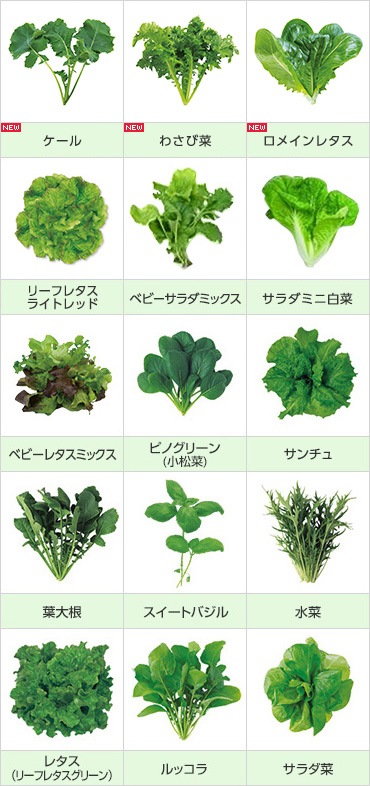 育てられる野菜
