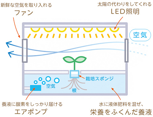 水耕栽培器の仕組み