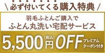 羽毛ふとんご購入でふとん丸洗い宅配サービス5,500円(税込)OFF プレミアムクーポン付き