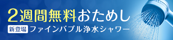 2週間無料お試し