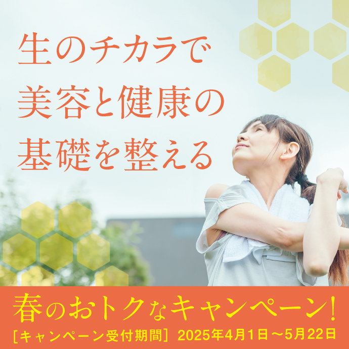 春のおトクなキャンペーン!