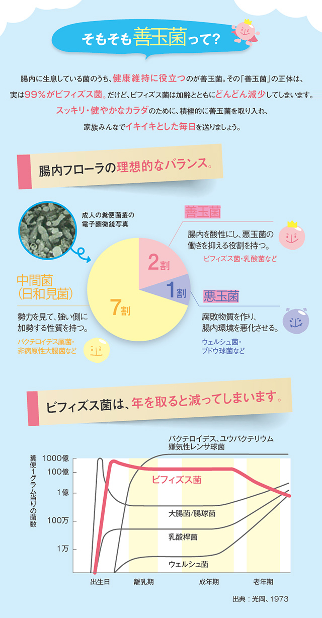 そもそも善玉菌って?