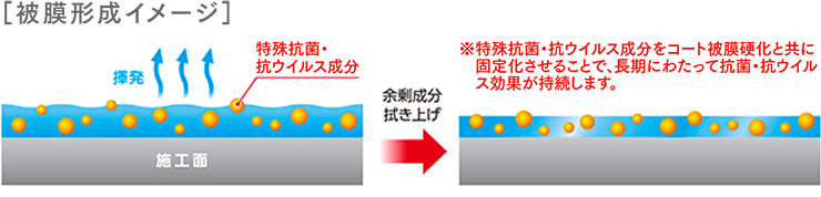 被膜形成イメージ