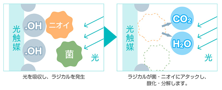 光触媒による抗菌・消臭のイメージ