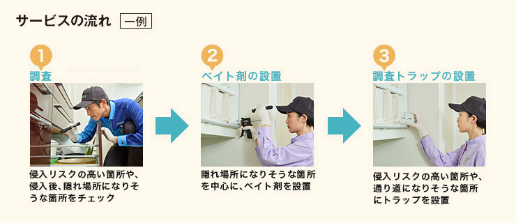 住まいに負担をかけずに徹底駆除を実現する独自のステップ