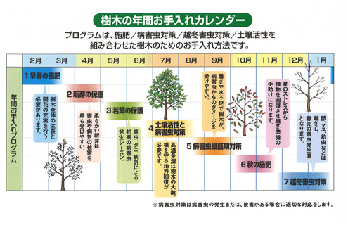 樹木のサイクルを熟知しているからこそのお手入れプログラムを実施