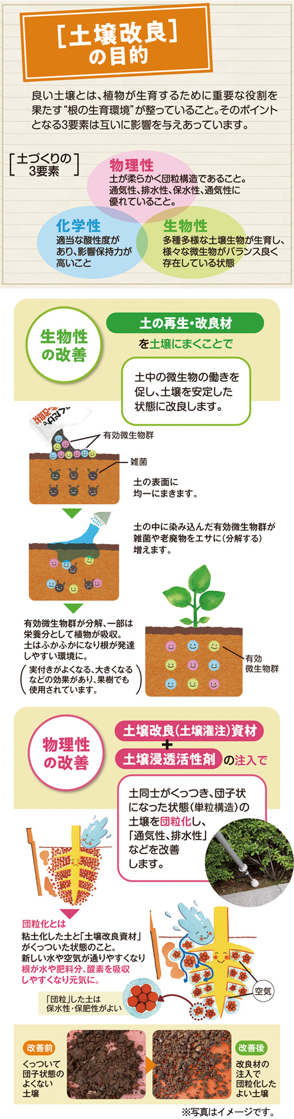 植栽状況に応じ、施工方法を提案します