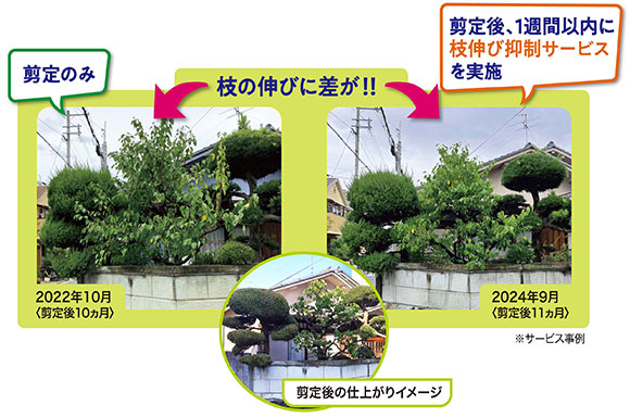 枝伸び抑制サービス