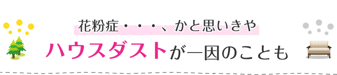 花粉症…、かと思いきやハウスダストが一因のことも