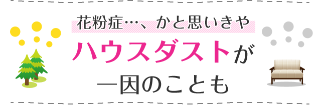 花粉症…、かと思いきやハウスダストが一因のことも