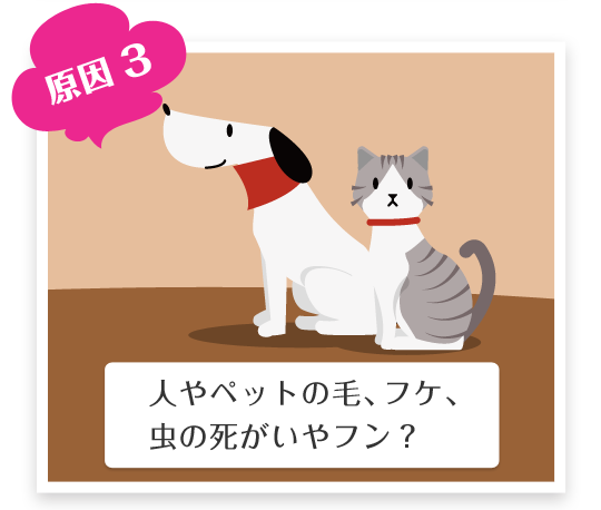 原因3人やペットの毛、フケ、虫の死がいやフン？