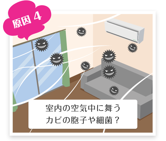 原因4室内の空気中に舞うカビの胞子や細菌？