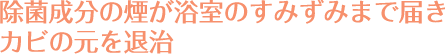 除菌成分の煙が浴室のすみずみまで届きカビの元を退治