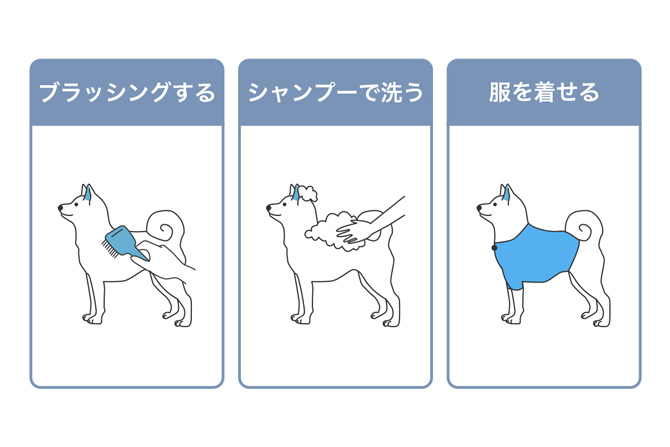 ブラッシングする／シャンプーで洗う／服を着せる