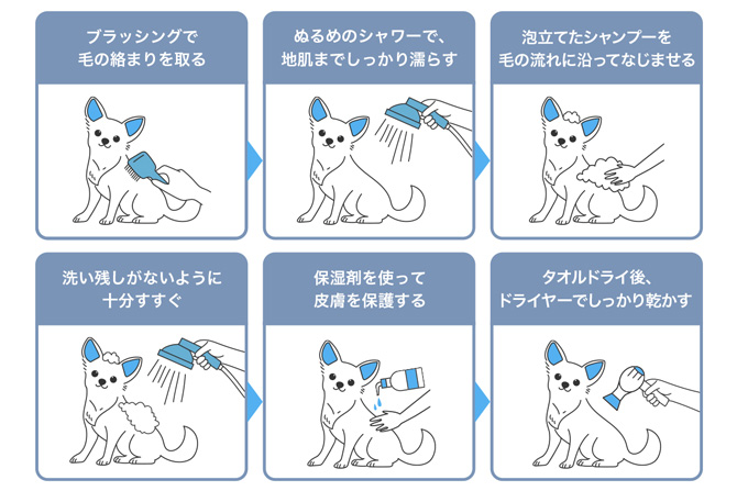 ブラッシングで毛の絡まりを取る／ぬるめのシャワーで、地肌までしっかり濡らす／泡立てたシャンプーを毛の流れに沿ってなじませる／洗い残しがないように十分すすぐ／保湿剤を使って皮膚を保護する／タオルドライ後、ドライヤーでしっかり乾かす