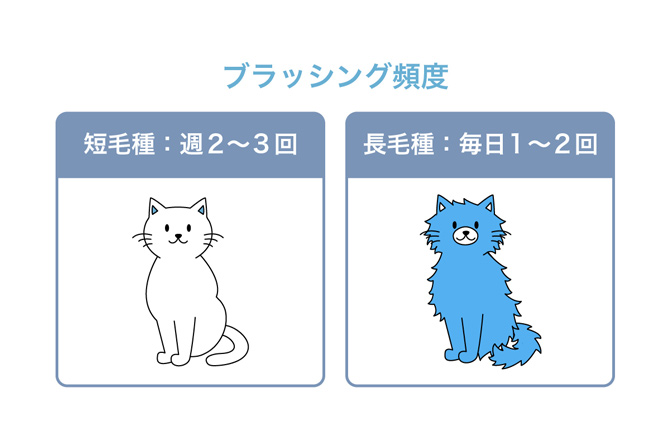 ブラッシング頻度　短毛種：週2～3回　長毛種：毎日1～2回