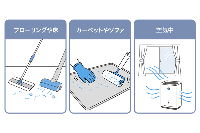 フローリングや床／カーペットやソファ／空気中