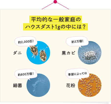 平均的な一般家庭のハウスダスト1gの中には？　すべてが病気の原因になるわけではありませんが、ハウスダストの中には見えない病原菌がいることもあります。