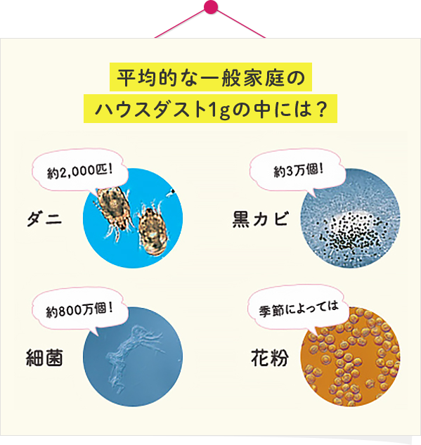 第1回ハウスダストとは ハウスダストの知識と対策 くらしのお役立ち情報 ダスキン