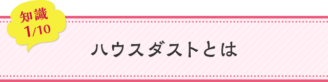 知識01 ハウスダストとは