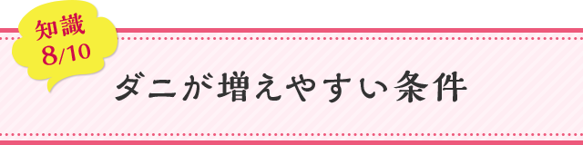 知識08 ダニが増えやすい条件