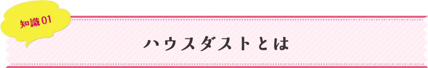 知識01 ハウスダストとは