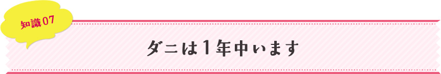 知識07 ダニは１年中います