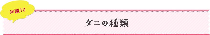 知識10 ダニの種類