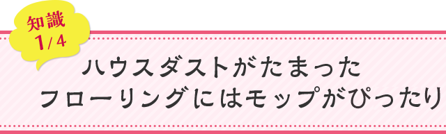 知識01 ハウスダストがたまったフローリングにはモップがぴったり