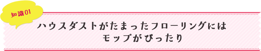 知識01 ハウスダストがたまったフローリングにはモップがぴったり