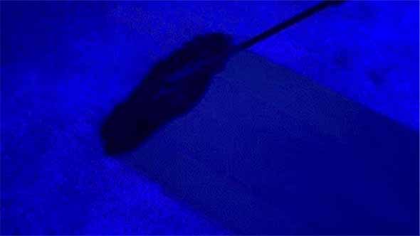 ホコリをしっかり除去