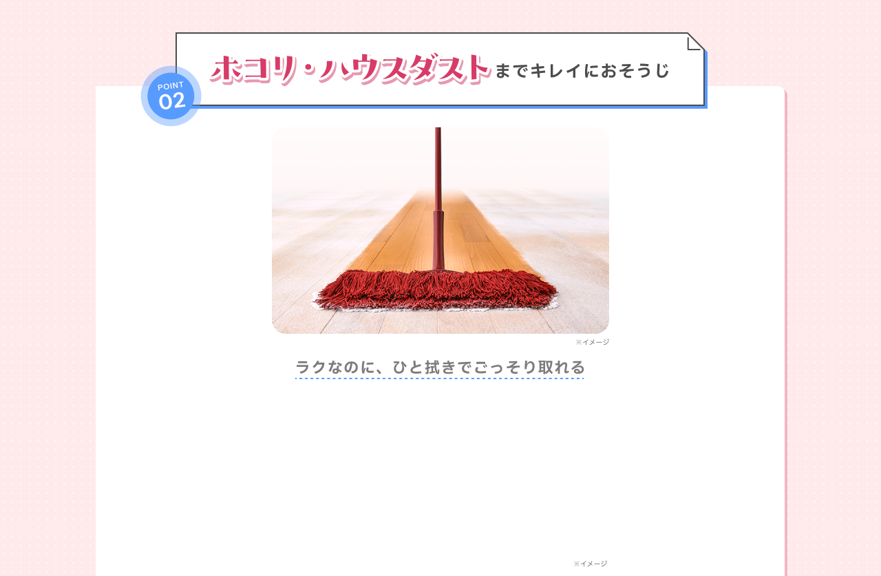 POINT02 ホコリ・ハウスダストまでキレイにおそうじ