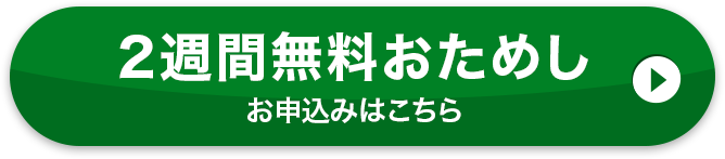 おそうじ3点セット 2週間おためしを始める