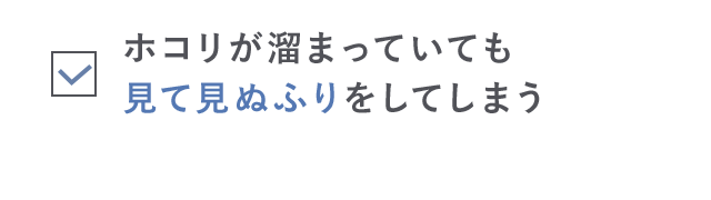 埃が溜まっていても見て見ぬふりをしてしまう