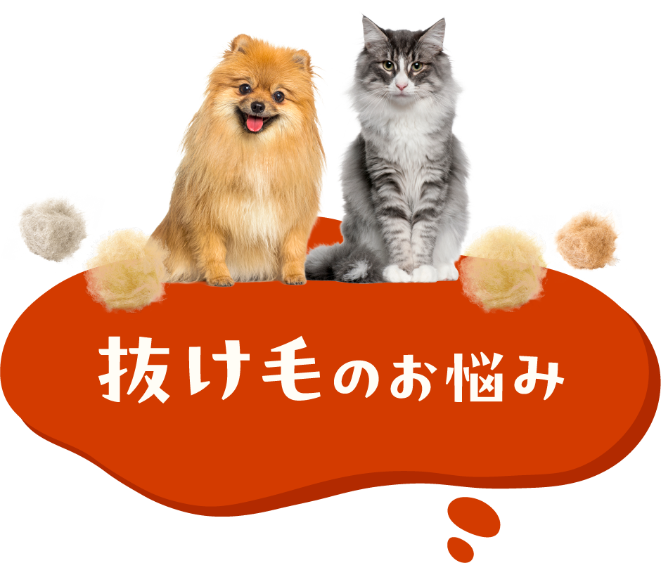 抜け毛のお悩み