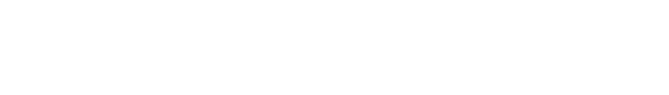 たとえばこんな様子を動画撮影